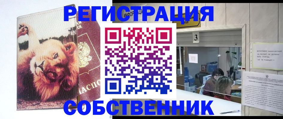 прописка поиск в Сунже